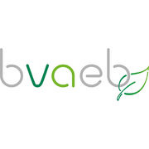 Bvaeb logo
